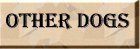Go To Other Dogs